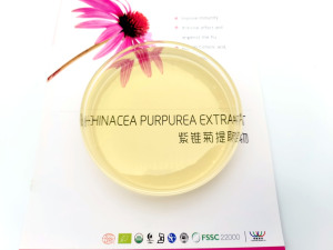 <span class=keywords><strong>Echinacea</strong></span> Purpurea Chiết Xuất bột chicoric axit polyphenol <span class=keywords><strong>echinacea</strong></span> purpurea - Product Image 6