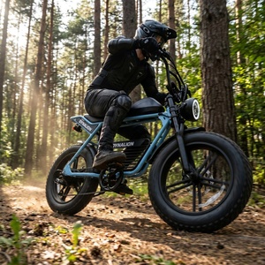 <span class=keywords><strong>Vélo</strong></span> <span class=keywords><strong>électrique</strong></span> à pneus larges <span class=keywords><strong>de</strong></span> type Beach Cruiser avec porte-bagages arrière, <span class=keywords><strong>vélo</strong></span> <span class=keywords><strong>électrique</strong></span> rétro longue portée pour les vacances en bord <span class=keywords><strong>de</strong></span> mer et la conduite sur le sable - Product Image 6