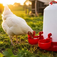 Nouvelle Abreuvoir Automatique en Plastique pour Volaille, Tasse à Eau pour Poulets, Fontaine à Boire Économe en Eau et Écologique