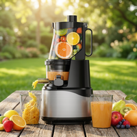 Extracteur de jus d'orange électrique en gros, étanche, à pression à froid lente, interface anglaise, pour usage domestique et bar à jus