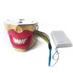 歯科麻酔抜歯モデルブザー電池付き練習麻酔モデル