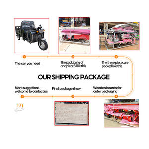 Barato E-Trikes 3 ruedas de carga eléctrica Pedicab Trimoto De Carga para llevar mercancías - Product Image 5