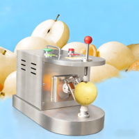 Mini Efficiënte en Duurzame Citroen-Limoen Citrus Schilmachine Commerciële Elektrische Kiwi Fruit Appel Sinaasappel Snelle Schilmachine