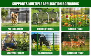 Grillage métallique de calibre 19, clôture en fil de fer de 1/2 pouce, rouleau de grillage soudé galvanisé pour cages et clôtures de volailles - Product Image 4