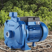 TECHNIC POWER Pompe à eau électrique pour irrigation de surface 1HP SCM100 0.75KW auto-amorçante