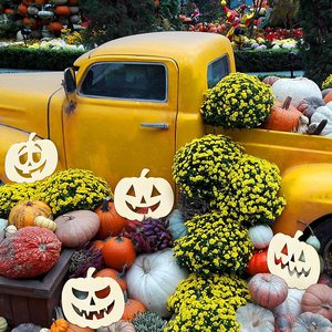 Nouvelles décorations en bois pour Halloween, y compris des planches à colorier DIY en forme de citrouille et des outils de dessin pour enfants. - Product Image 3