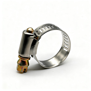 उच्च गुणवत्ता वाले गले का हूप टाइटेनियम नली क्लैंप - Product Image 2