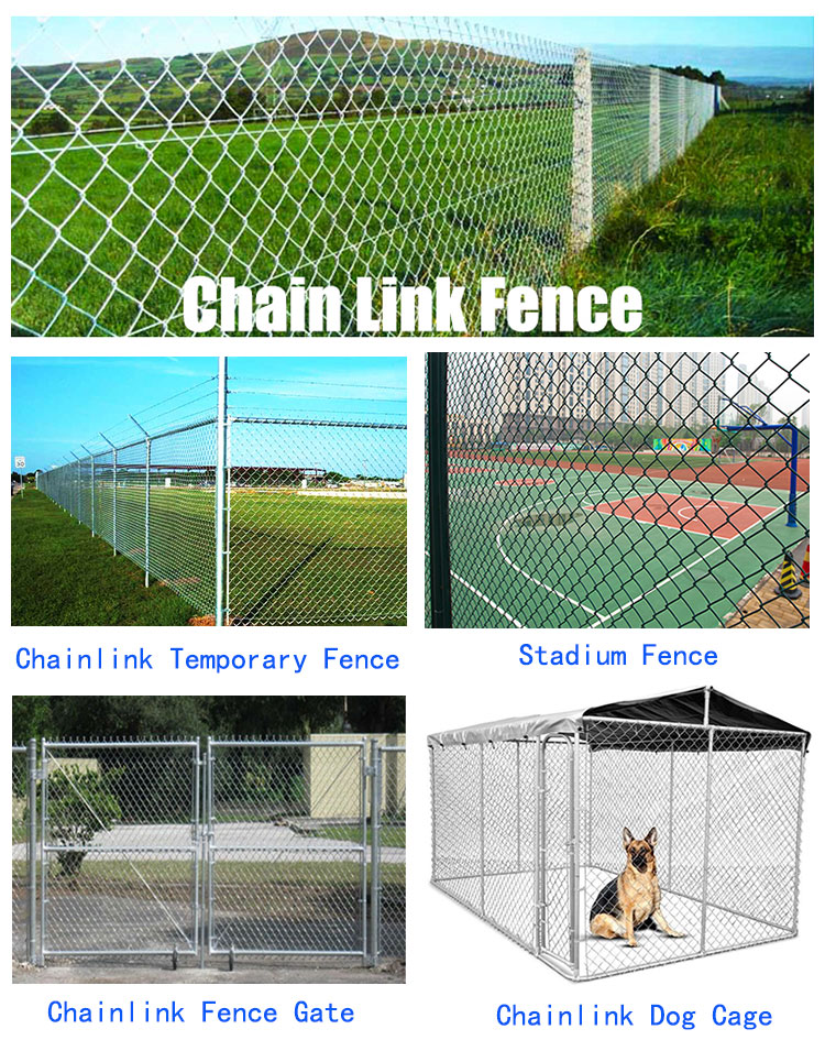 20x20 40x40 Galvanized Chain Link Fence Powder Coated