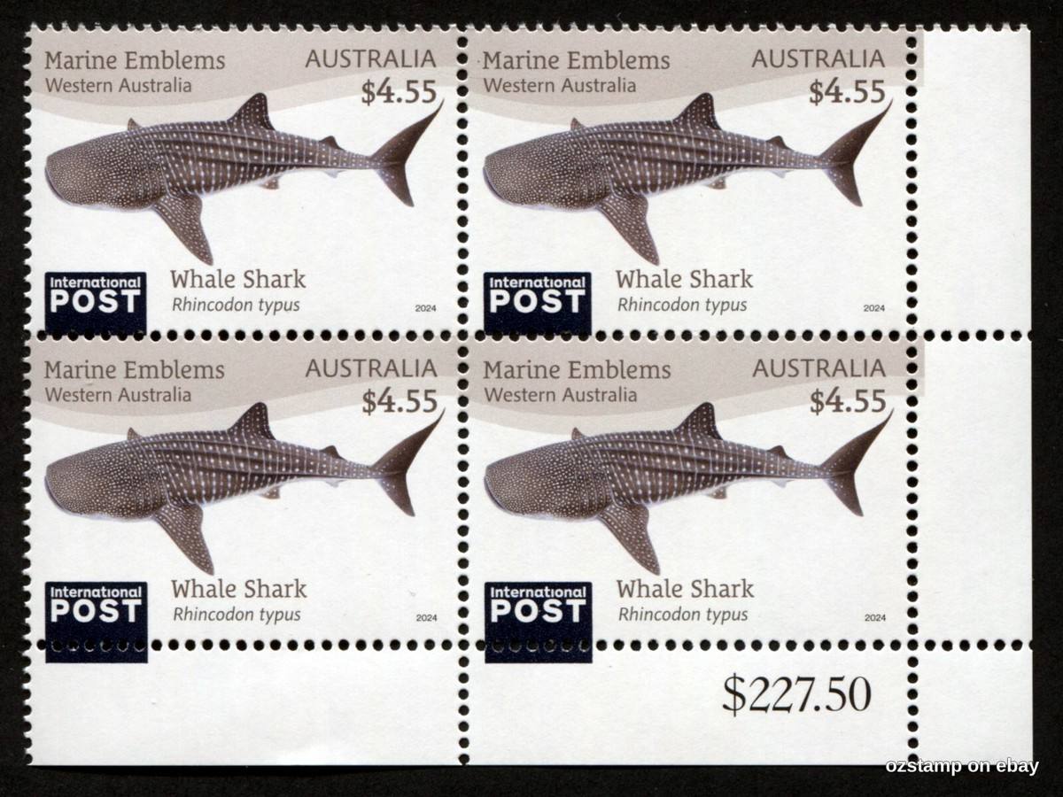 ฉลาม 50 ตัวในออสเตรเลีย