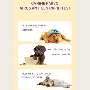 Usmileपेट नव विकसित प्लास्टिक कैनाइन परावो वायरस एंटीजन रैपिड टेस्ट कोलोइडल गोल्ड विधि एंटीजन टेस्ट स्ट्रिप - Product Image 2