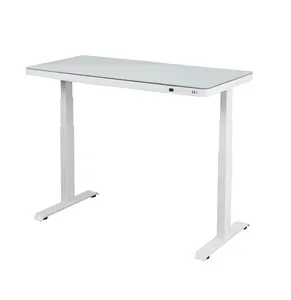 Modern design ergonomic electric standing table dual motor sit standing desk height adjustable home office desk