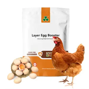अंडा उत्पादन बूस्टर बनाने के लिए अधिक अंडे बिछाने मुर्गियाँ चिकन अंडे बूस्टर 100g प्रति पाउच के लिए नमूना आदेश