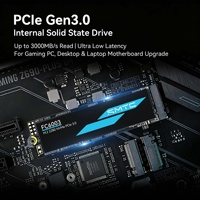 خدمة طباعة شعار مخصص على أقراص M.2 NVMe SSD من نوع OEM ODM لأصحاب العلامات التجارية وشركاء تجميع الكمبيوتر