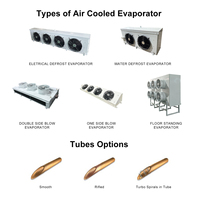 Système de refroidissement par évaporation à l'ammoniac avec compresseur Copeland DD40 refroidi par air pour la chaîne du froid YueXue Refrigeration