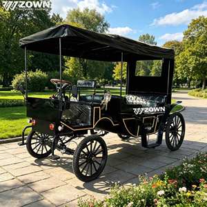 Carruaje eléctrico clásico europeo para turismo, operado sin caballos, para exhibición en hoteles, jardines y fotografía al aire libre. - Product Image 1