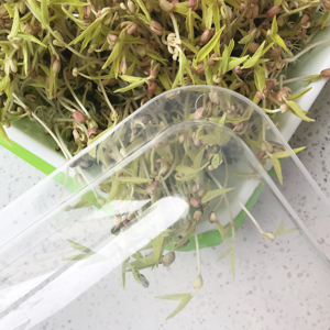Haute Qualité D'intérieur À <span class=keywords><strong>La</strong></span> Maison De <span class=keywords><strong>Plantation</strong></span> De Haricots Durable et Propre En Plastique PP De Germes De Soja De Plateau - Product Image 6