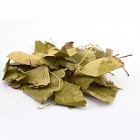 Großhandel Gewürz Yin xing ye gesunde kräuter massenhaft getrocknete biloba ginkgo blatt