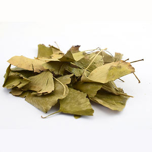 Vente de gros Spice Yin xing ye Feuille de <span class=keywords><strong>ginkgo</strong></span> <span class=keywords><strong>biloba</strong></span> séchée en vrac à base de plantes saines - Product Image 4
