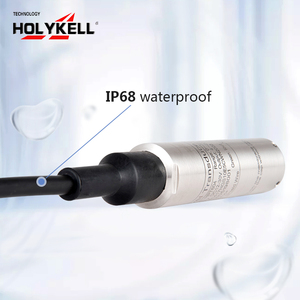 Sensor <span class=keywords><strong>de</strong></span> <span class=keywords><strong>Nivel</strong></span> Sumergible Holykell HPT604-A IP68 <span class=keywords><strong>para</strong></span> Monitoreo del <span class=keywords><strong>Nivel</strong></span> <span class=keywords><strong>de</strong></span> <span class=keywords><strong>Agua</strong></span> en <span class=keywords><strong>Estanques</strong></span>, Embalses, Canales <span class=keywords><strong>de</strong></span> Riego, con RS485 - Product Image 3