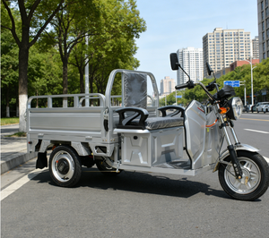 <span class=keywords><strong>Vélo</strong></span> électrique 3 roues tricycles adulte tricycle électrique camping-car tricycle passager avec <span class=keywords><strong>cargo</strong></span> - Product Image 5