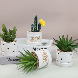Plantes succulentes artificielles décoratives de <span class=keywords><strong>cactus</strong></span> petites plantes artificielles en pot VP-HL006 - Product Image 2