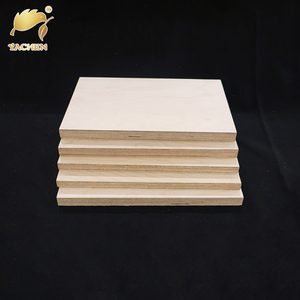 Pannello <span class=keywords><strong>di</strong></span> compensato <span class=keywords><strong>di</strong></span> <span class=keywords><strong>betulla</strong></span> <span class=keywords><strong>di</strong></span> alta qualità 3mm 6mm 9mm 18mm 21mm - Produzione cinese - Product Image 5