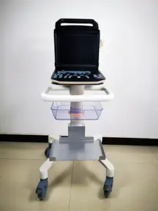 Zoncare M5 Máquina de ultrassom 3D portátil digital para computador portátil médico para humanos e animais de estimação