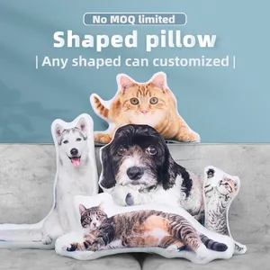 3D Digital Photo Print Cushion Irregular Shaped Plush Body Carton Cushion Customized Comfortable Printed Plush Hold Pillow