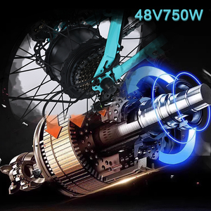Akez ZX 48V 13ah 750W không chổi than động cơ trung tâm Xe đạp điện | Bánh răng 7 tốc độ | Pin Lithium | Xe đạp điện mạnh mẽ và hiệu quả - Product Image 4