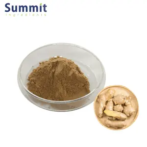 Wholesale Ginger Extract Gingerol 10% Ginger Powder Ginger Extract Powder