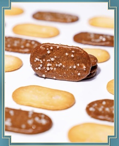 เครื่องผลิตอาหารสัตว์เลี้ยงแบบอัตโนมัติ ทำจากสแตนเลส รูปทรงยีราฟ สำหรับผลิตอาหารเม็ดเคลือบมะพร้าว พร้อมมอเตอร์และระบบควบคุม PLC สำหรับอาหารสุนัข - Product Image 6