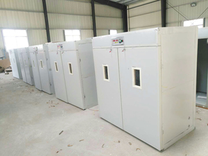 Incubateur à œufs automatique Beyou 4224 avec taux d'éclosion élevé 220V multifonctionnel - Product Image 5