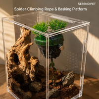 Nido de Araña Magnético de Resina con Cueva de Roca y Cuerda para Plantas Trepadoras, Decoración para Recinto Arboral, Hábitat de Insectos