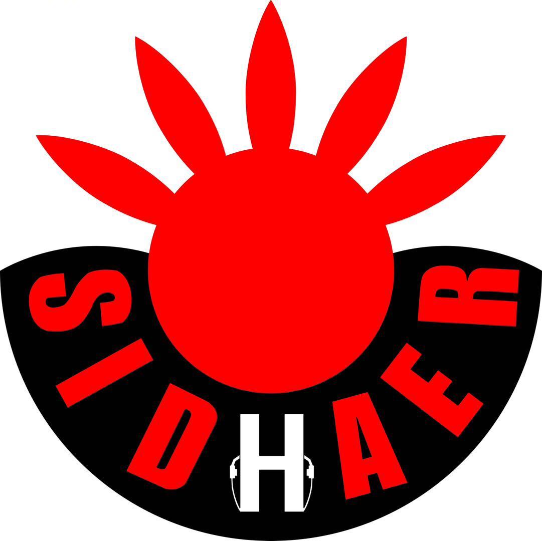 Anhui Sidaer Intelligent Technology Co., Ltd. logo