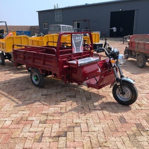 1000W 60V Electric Tricycle 3-Wheel Motorcycle Cargo Farm Usage <b>2</b> <b>Passenger</b> Seat EEC CE Certified Electric Tricycle 1500W Motor - Product Image 5