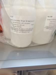 Antígeno para Prueba de Aglutinación de Salmonella Abortus Equina para el <span class=keywords><strong>Diagnóstico</strong></span> Rápido de Aborto Infeccioso Equino - Product Image 1