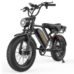 Vélo Électrique Économique UE, Vélos Électriques Tout-Terrain Sportifs, Vélos Électriques Rétro VTT à Pneus Larges, Vélo Électrique Urbain 750W - Product Image 1