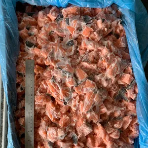 Good Price Frozen Chum Salmon BP block Salmon BP