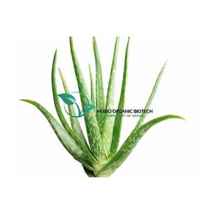 Pó de folhas de aloe vera do melhor preço - Product Image 1