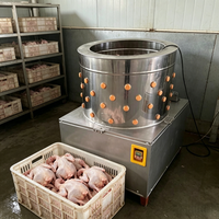Machine à plumer les volailles pour poulets, canards, cailles et oiseaux