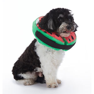 개와 고양이를위한 새로운 부드러운 귀여운 애완 동물 엘리자베스 칼라 과일 패턴 고양이 복구 칼라 보호 풍선 고리 - Product Image 5