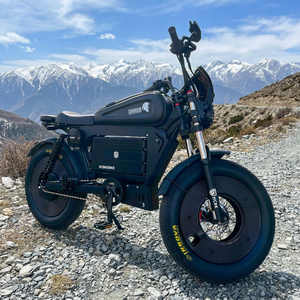 -SS10 Black With 60V50AH <b>Battery</b> Aluminum Frame Upgraded Air Suspension SS10 Original Manufacturer Free Cus - Product Image 5