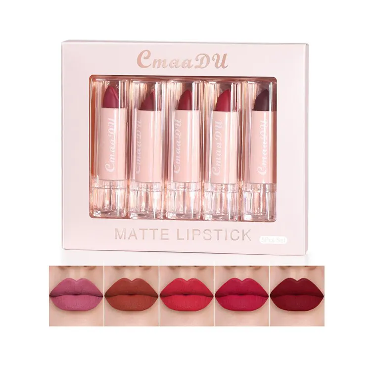 Matte lipstick 5Pcs set Long-Lasting Waterproof Makeup Cosmetics 5 Colors Matte Lipstick Set Lip Gloss