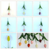 Bouquet de tulipes classiques en gel souple au toucher réel - Fait main, léger, durable, bouquet de fleurs artificielles pour la décoration de la maison et des événements