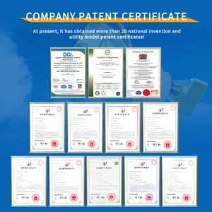 DSH disediakan oleh produsen segel minyak tipe-b PTFE tahan aus cincin segel bibir ganda segel minyak - Product Image 6