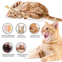 Jouets à mâcher pour chat en bois certifié FSC, écologiques, entièrement naturels, intelligents et mignons, pour chatons et mâcheurs agressifs, adaptés aux animaux de compagnie