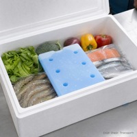 Boîte de glace à chaîne froide pcm, 4,5 l, glacière pour gel médical, changement de phase, 1 pièce