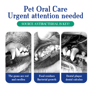 Supplément nutritionnel pour animaux de compagnie ODM/OEM poudre <span class=keywords><strong>vermifuge</strong></span> pour chats chiens pour les soins de santé emballés dans des bouteilles suppléments à base de plantes - Product Image 4