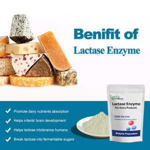 Qualité alimentaire 30,000 GLAU/g acide lactase enzyme poudre <span class=keywords><strong>Alpha</strong></span> <span class=keywords><strong>Galactosidase</strong></span> bas prix - Product Image 2