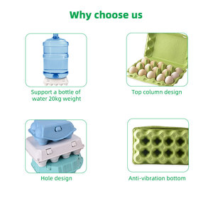 Vassoi per Uova Biodegradabili Usa e Getta, Confezioni Colorate per 30 Uova, Campione Gratuito - Product Image 6